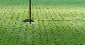 Lire la suite à propos de l’article Avril 2026 – Comprendre et s&rsquo;adapter aux greens de printemps